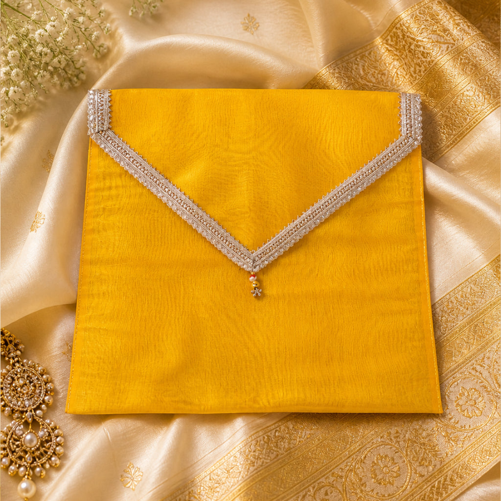 Saree Organizer Bag – Wedding Dress Storage (Multi-Color)